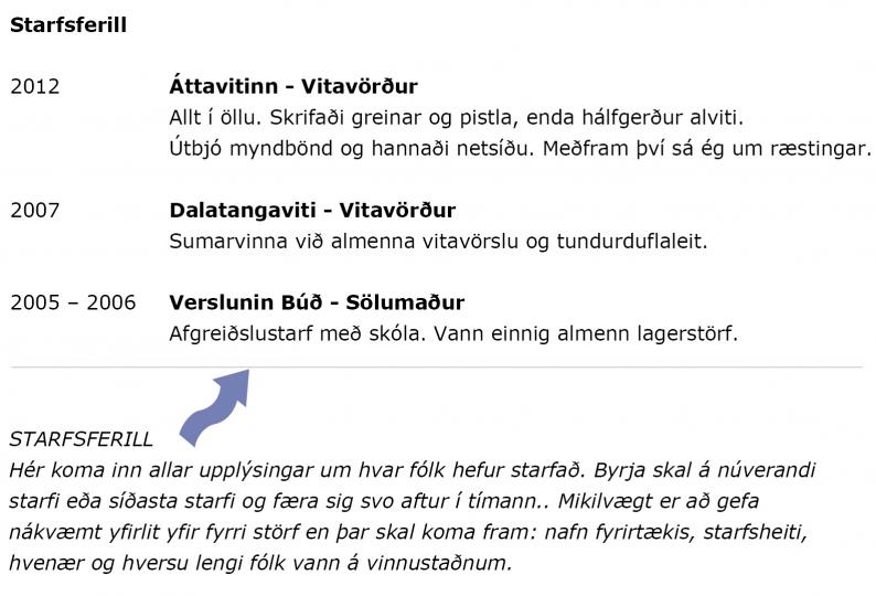 Dæmi um fyrri störf á ferilskrá